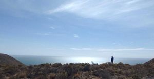 man in the middle distance looking out to see on a sunny clear day