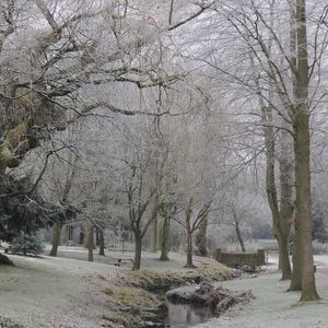 Walsall arboretum in the snow